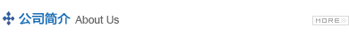 公司簡(jiǎn)介